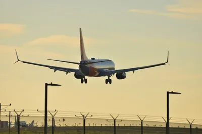 DSC_5679 (Large).JPG